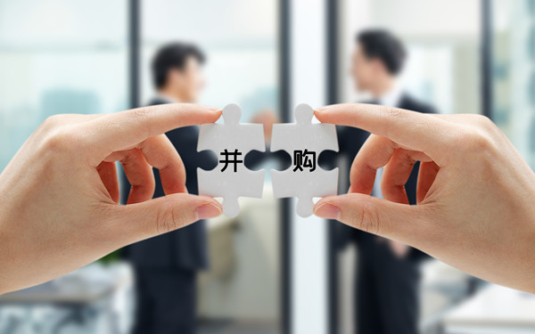 戰(zhàn)略投資與并購(gòu)：拓展企業(yè)規(guī)模，增強(qiáng)市場(chǎng)競(jìng)爭(zhēng)力