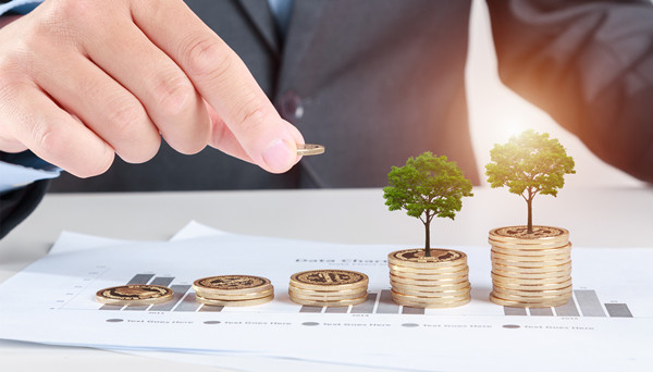 預(yù)算管理中的風險防范與應(yīng)對