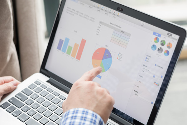 預(yù)算控制咨詢(xún)：協(xié)助企業(yè)建立控制體系，確保預(yù)算執(zhí)行