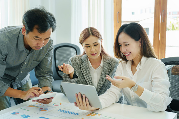 預(yù)算分析咨詢：提供分析工具與策略，幫助企業(yè)發(fā)現(xiàn)問題