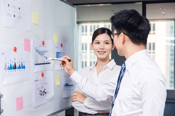 組織咨詢：協(xié)助企業(yè)制定組織發(fā)展戰(zhàn)略，推動組織成長