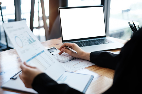 預(yù)算信息化：利用信息技術(shù)，提升預(yù)算管理效率