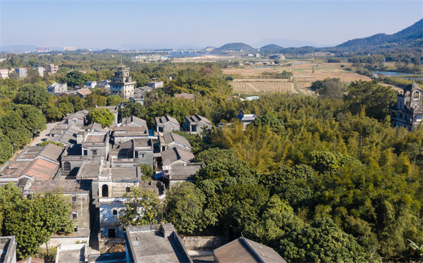 江門管理咨詢公司如何定制高效解決方案？