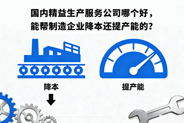 國(guó)內(nèi)精益生產(chǎn)服務(wù)公司哪個(gè)好，能幫制造企業(yè)降本還提產(chǎn)能的？