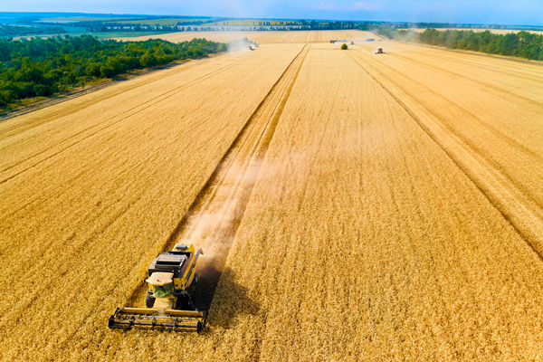 農(nóng)業(yè)行業(yè)供應(yīng)鏈管理咨詢公司推薦，能解農(nóng)資采購(gòu)成本高問題嗎？