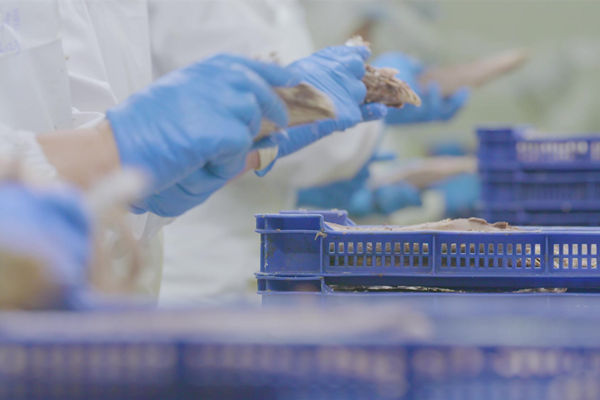 本土駐廠精益生產(chǎn)咨詢哪家強(qiáng)，能快速提升產(chǎn)線流轉(zhuǎn)效率么？